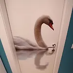 La Finestra Sul Appartement